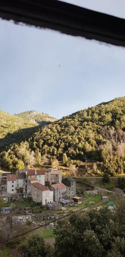 Campeggio L'agrottu Au Cœur De La Corse Restaurant Creperie