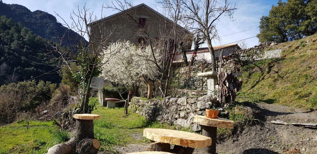 L'agrottu Au Cœur De La Corse Restaurant Creperie Campeggio