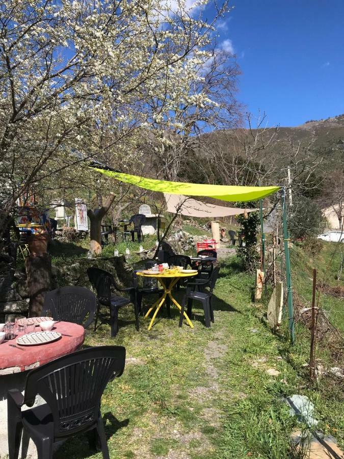 L'agrottu Au Cœur De La Corse Restaurant Creperie Campeggio Santa-Lucia-di-Mercurio