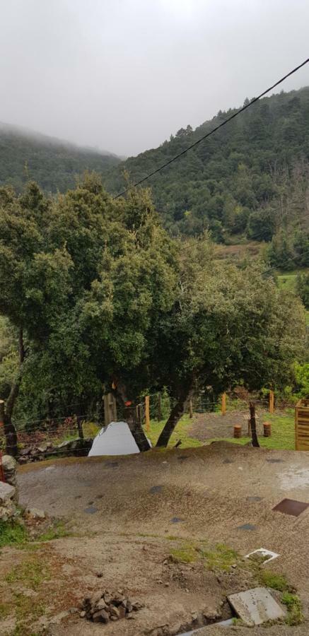 L'agrottu Au Cœur De La Corse Restaurant Creperie Campeggio