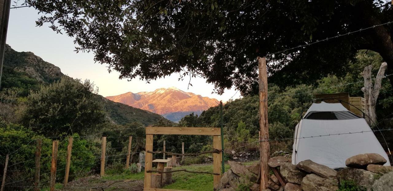 Campeggio L'agrottu Au Cœur De La Corse Restaurant Creperie Santa-Lucia-di-Mercurio