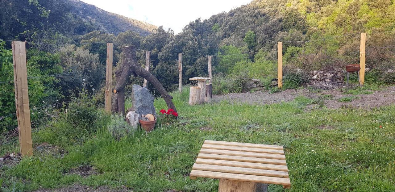 L'agrottu Au Cœur De La Corse Restaurant Creperie * Santa-Lucia-di-Mercurio