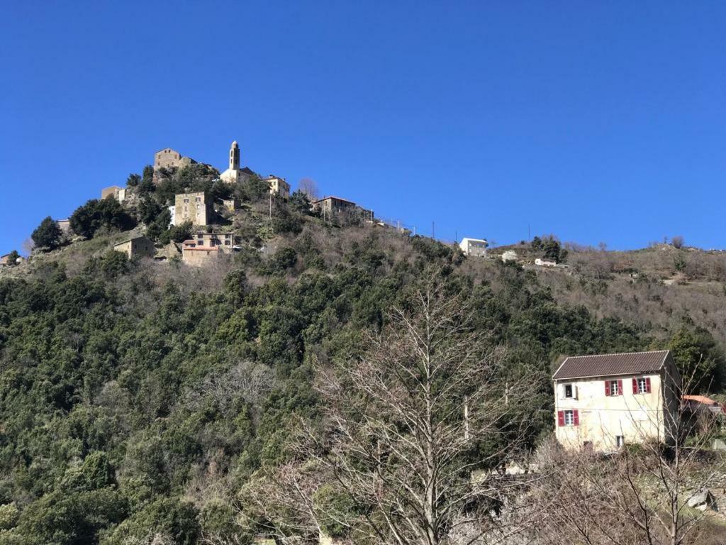 L'agrottu Au Cœur De La Corse Restaurant Creperie * Santa-Lucia-di-Mercurio