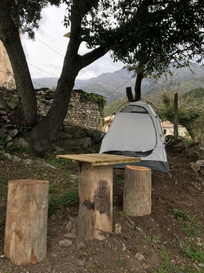 L'agrottu Au Cœur De La Corse Restaurant Creperie * Santa-Lucia-di-Mercurio