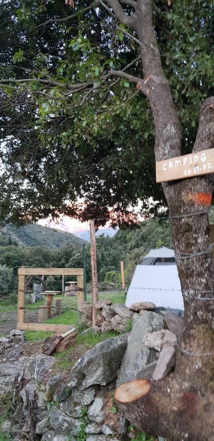 L'agrottu Au Cœur De La Corse Restaurant Creperie Camping *
