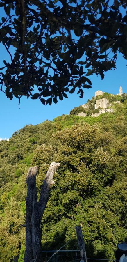 Camping L'agrottu Au Cœur De La Corse Restaurant Creperie