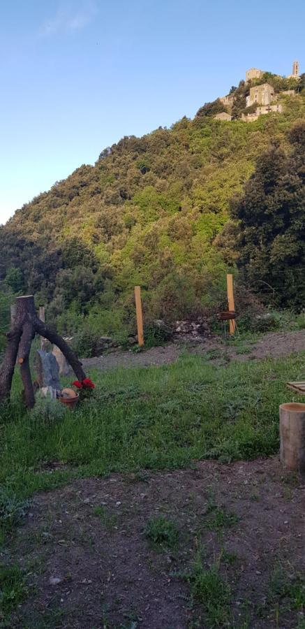 L'agrottu Au Cœur De La Corse Restaurant Creperie * Santa-Lucia-di-Mercurio